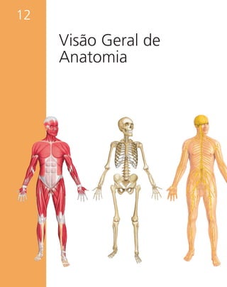 12
Visão Geral de
Anatomia
 
