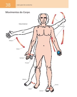 38 visão geral de anatomia
Movimentos do Corpo
Abdução
Adução
Supinação
Pronação
Abdução
Adução
Inversão
Eversão
Circundução
Vista Anterior
 