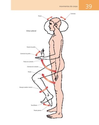 39movimentos do corpo
Extensão
Flexão
Flexão de punho
Extensão de punho
Flexão de cotovelo
Extensão de cotovelo
Flexão
Rotação medial e lateral
Dorsiflexão
Flexão plantar
Vista Lateral
 