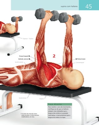 45supino com halteres
2
Faça direito
Para manter o arco de movimento,
certiﬁque-se de que os halteres
estejam mais afastados que a
largura dos ombros na posição
mais baixa, e mais próximos que a
largura do ombro no topo.
Peitoral maior
Tríceps braquial
Deltoide anterior
Coracobraquial
Trapézio
Trapezius – Trapézio
Serrátil anterior
Grande dorsal
Os nomes dos músculos ativos
estão em preto, e os dos músculos
estabilizadores, em cinza.
 