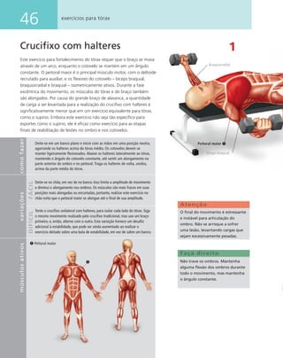 46 exercícios para tórax
Cruciﬁxo com halteres
Este exercício para fortalecimento do tórax requer que o braço se mova
através de um arco, enquanto o cotovelo se mantém em um ângulo
constante. O peitoral maior é o principal músculo motor, com o deltoide
recrutado para auxiliar, e os ﬂexores do cotovelo – bíceps braquial,
braquiorradial e braquial – isometricamente ativos. Durante a fase
excêntrica do movimento, os músculos do tórax e do braço também
são alongados. Por causa do grande braço de alavanca, a quantidade
de carga a ser levantada para a realização do cruciﬁxo com halteres é
signiﬁcativamente menor que em um exercício equivalente para tórax,
como o supino. Embora este exercício não seja tão especíﬁco para
esportes como o supino, ele é eﬁcaz como exercício para as etapas
ﬁnais de reabilitação de lesões no ombro e nos cotovelos.
1
Faça direito
Não trave os ombros. Mantenha
alguma ﬂexão dos ombros durante
todo o movimento, mas mantenha
o ângulo constante.
Peitoral maior
Atenção
O ﬁnal do movimento é estressante
e instável para articulação do
ombro. Não se arrisque a sofrer
uma lesão, levantando cargas que
sejam excessivamente pesadas.
Peitoral maior
Bíceps braquial
Braquiorradial
comofazervariações
FÁCILDIFÍCIL
Deite-se em um banco plano e inicie com as mãos em uma posição neutra,
agarrando os halteres acima do tórax médio. Os cotovelos devem se
manter ligeiramente ﬂexionados. Abaixe os halteres lateralmente ao tórax,
mantendo o ângulo do cotovelo constante, até sentir um alongamento na
parte anterior do ombro e no peitoral. Traga os halteres de volta, unidos,
acima da parte média do tórax.
Deite-se no chão, em vez de no banco. Isso limita a amplitude de movimento
e diminui o alongamento nos ombros. Os músculos são mais fracos em suas
posições mais alongadas ou encurtadas, portanto, realizar este exercício no
chão evita que o peitoral maior se alongue até o ﬁnal de sua amplitude.
Tente o cruciﬁxo unilateral com halteres, para isolar cada lado do tórax. Siga
o mesmo movimento realizado pelo cruciﬁxo tradicional, mas use um braço
primeiro, e, então, alterne com o outro. Esta variação fornece um desaﬁo
adicional à estabilidade, que pode ser ainda aumentado ao realizar o
exercício deitado sobre uma bola de estabilidade, em vez de sobre um banco.
músculosativos
 
