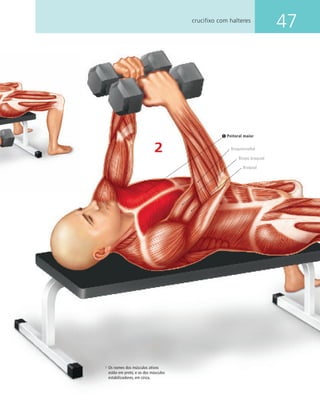 47crucifixo com halteres
2
Peitoral maior
Bíceps braquial
Braquiorradial
Braquial
Os nomes dos músculos ativos
estão em preto, e os dos músculos
estabilizadores, em cinza.
 