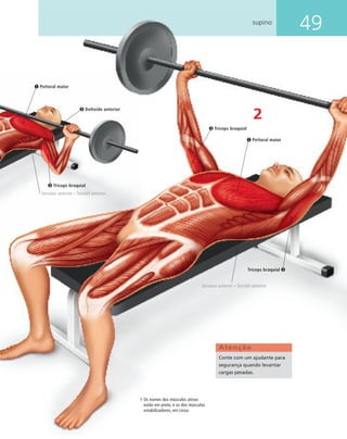 49supino
2
Atenção
Conte com um ajudante para
segurança quando levantar
cargas pesadas.
Peitoral maior
Peitoral maior
Tríceps braquial
Deltoide anterior
Tríceps braquial
Serratus anterior – Serrátil anterior
Serratus anterior – Serrátil anterior
Os nomes dos músculos ativos
estão em preto, e os dos músculos
estabilizadores, em cinza.
Tríceps braquial
 