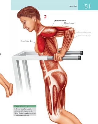 51mergulho
2
Faça direito
Incline-se para frente para
aumentar o treinamento do
tórax; ﬁque ereto para aumentar
a sobrecarga no braço.
Peitoral maior
Tríceps braquial
Deltoide anterior
Extensor ulnar do carpo
Extensor radial do carpo
 