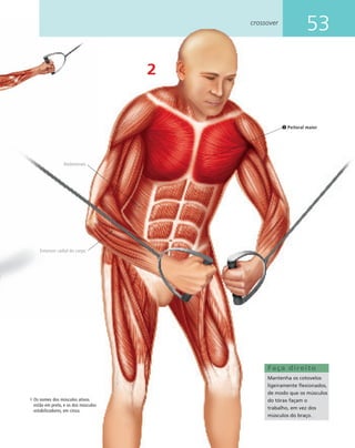 53crossover
2
Faça direito
Mantenha os cotovelos
ligeiramente ﬂexionados,
de modo que os músculos
do tórax façam o
trabalho, em vez dos
músculos do braço.
Peitoral maior
Os nomes dos músculos ativos
estão em preto, e os dos músculos
estabilizadores, em cinza.
Abdominais
Extensor radial do carpo
 