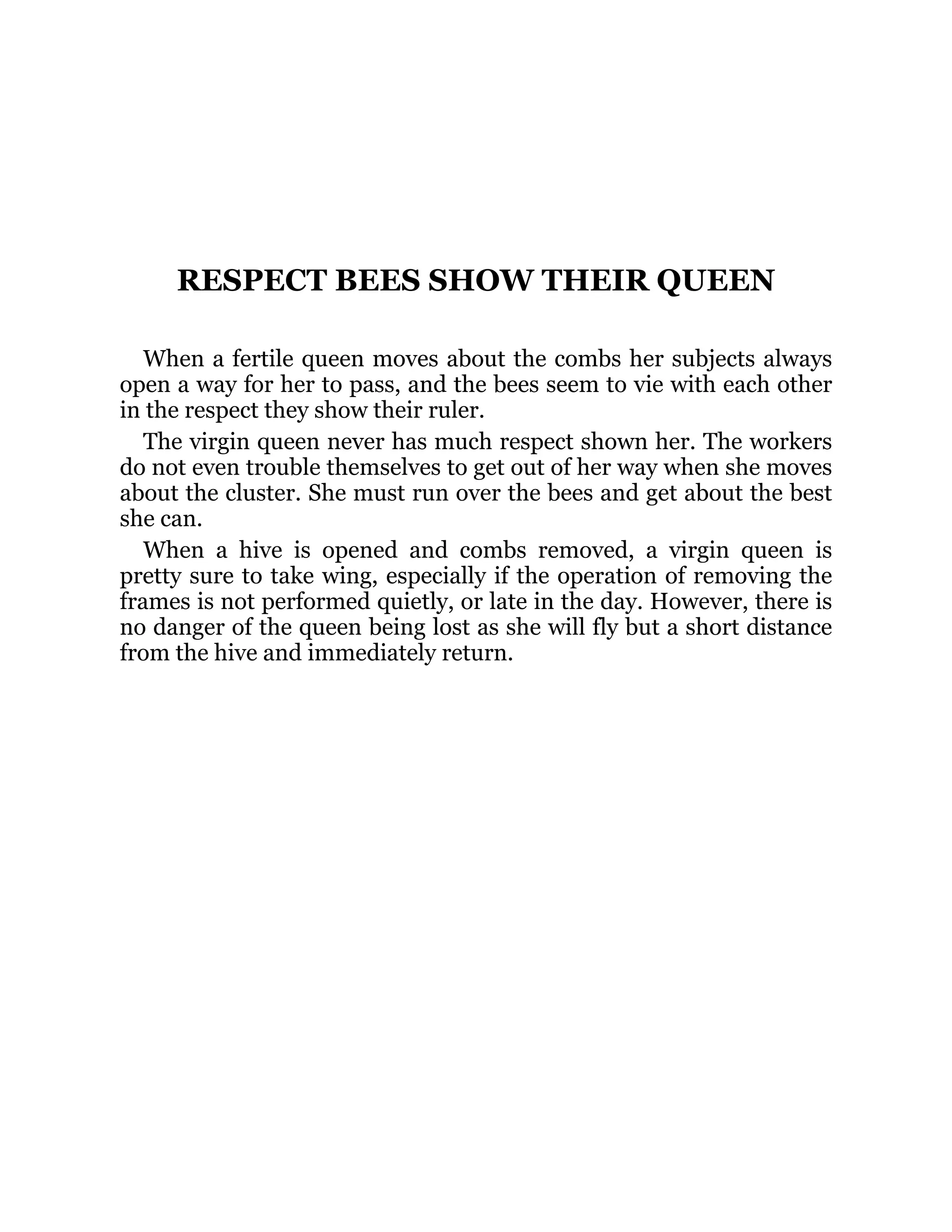 RESPECT BEES SHOW THEIR QUEEN
When a fertile queen moves about the combs her subjects always
open a way for her to pass, and the bees seem to vie with each other
in the respect they show their ruler.
The virgin queen never has much respect shown her. The workers
do not even trouble themselves to get out of her way when she moves
about the cluster. She must run over the bees and get about the best
she can.
When a hive is opened and combs removed, a virgin queen is
pretty sure to take wing, especially if the operation of removing the
frames is not performed quietly, or late in the day. However, there is
no danger of the queen being lost as she will fly but a short distance
from the hive and immediately return.
 
