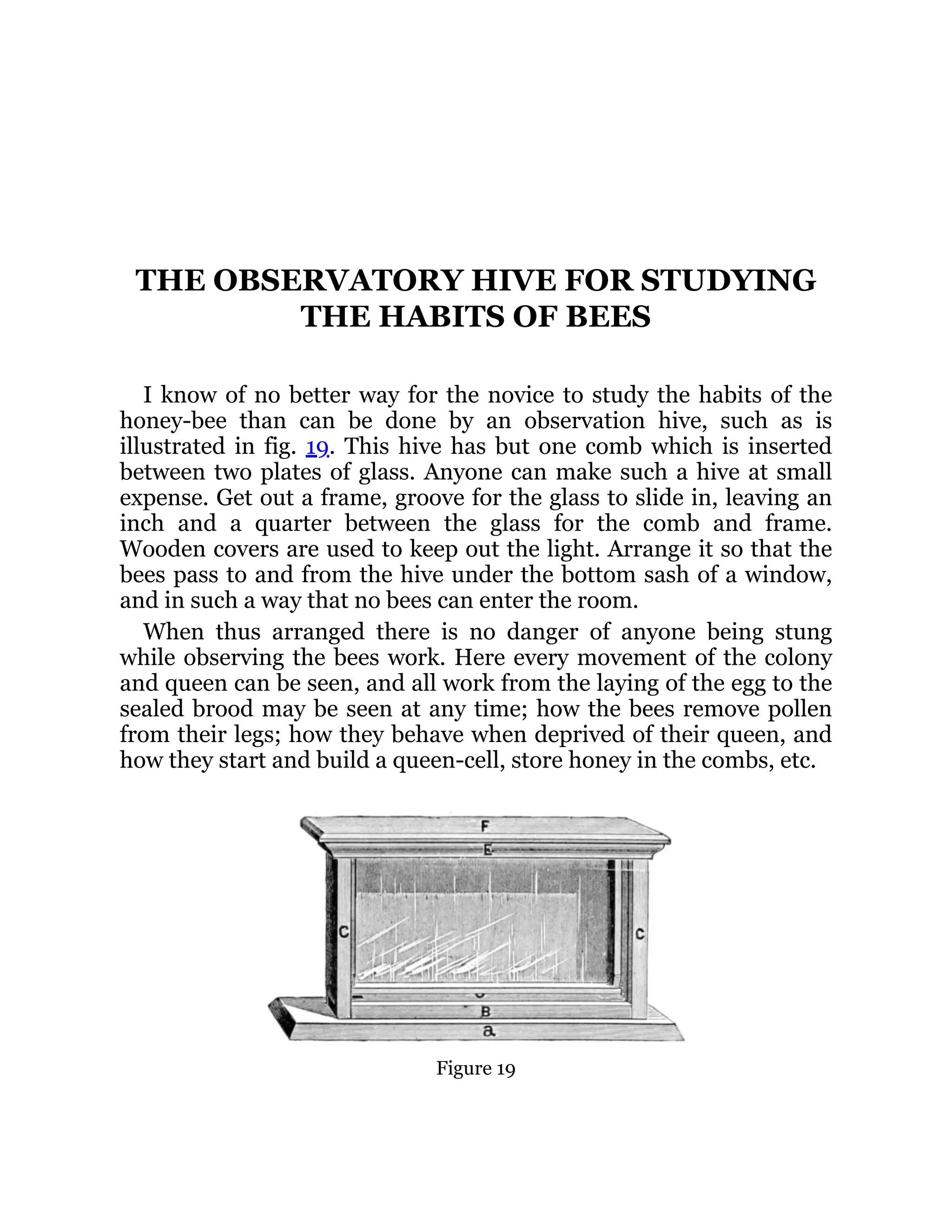 THE OBSERVATORY HIVE FOR STUDYING
THE HABITS OF BEES
I know of no better way for the novice to study the habits of the
honey-bee than can be done by an observation hive, such as is
illustrated in fig. 19. This hive has but one comb which is inserted
between two plates of glass. Anyone can make such a hive at small
expense. Get out a frame, groove for the glass to slide in, leaving an
inch and a quarter between the glass for the comb and frame.
Wooden covers are used to keep out the light. Arrange it so that the
bees pass to and from the hive under the bottom sash of a window,
and in such a way that no bees can enter the room.
When thus arranged there is no danger of anyone being stung
while observing the bees work. Here every movement of the colony
and queen can be seen, and all work from the laying of the egg to the
sealed brood may be seen at any time; how the bees remove pollen
from their legs; how they behave when deprived of their queen, and
how they start and build a queen-cell, store honey in the combs, etc.
Figure 19
 