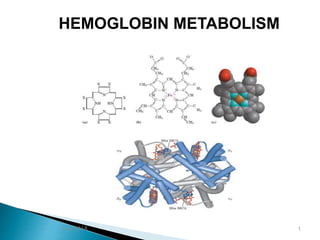 5/6/2018 1
HEMOGLOBIN METABOLISM
 