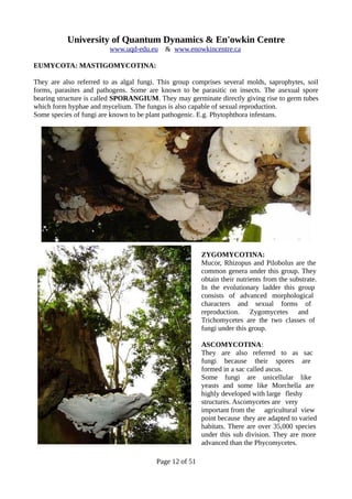 University of Quantum Dynamics & En'owkin Centre
www.uqd-edu.eu & www.enowkincentre.ca
EUMYCOTA: MASTIGOMYCOTINA:
They are also referred to as algal fungi. This group comprises several molds, saprophytes, soil
forms, parasites and pathogens. Some are known to be parasitic on insects. The asexual spore
bearing structure is called SPORANGIUM. They may germinate directly giving rise to germ tubes
which form hyphae and mycelium. The fungus is also capable of sexual reproduction.
Some species of fungi are known to be plant pathogenic. E.g. Phytophthora infestans.
ZYGOMYCOTINA:
Mucor, Rhizopus and Pilobolus are the
common genera under this group. They
obtain their nutrients from the substrate.
In the evolutionary ladder this group
consists of advanced morphological
characters and sexual forms of
reproduction. Zygomycetes and
Trichomycetes are the two classes of
fungi under this group.
ASCOMYCOTINA:
They are also referred to as sac
fungi because their spores are
formed in a sac called ascus.
Some fungi are unicellular like
yeasts and some like Morchella are
highly developed with large fleshy
structures. Ascomycetes are very
important from the agricultural view
point because they are adapted to varied
habitats. There are over 35,000 species
under this sub division. They are more
advanced than the Phycomycetes.
Page 12 of 51
 