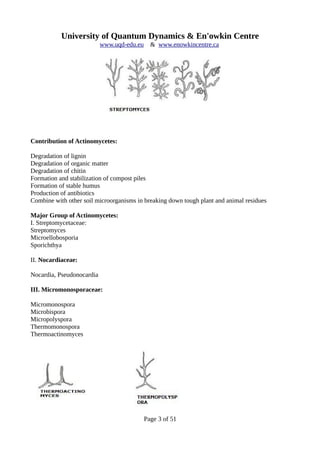 University of Quantum Dynamics & En'owkin Centre
www.uqd-edu.eu & www.enowkincentre.ca
Contribution of Actinomycetes:
Degradation of lignin
Degradation of organic matter
Degradation of chitin
Formation and stabilization of compost piles
Formation of stable humus
Production of antibiotics
Combine with other soil microorganisms in breaking down tough plant and animal residues
Major Group of Actinomycetes:
I. Streptomycetaceae:
Streptomyces
Microellobosporia
Sporichthya
II. Nocardiaceae:
Nocardia, Pseudonocardia
III. Micromonosporaceae:
Micromonospora
Microbispora
Micropolyspora
Thermomonospora
Thermoactinomyces
Page 3 of 51
 