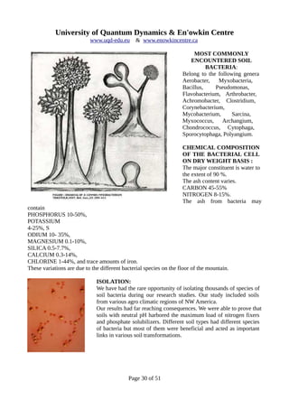 University of Quantum Dynamics & En'owkin Centre
www.uqd-edu.eu & www.enowkincentre.ca
MOST COMMONLY
ENCOUNTERED SOIL
BACTERIA:
Belong to the following genera
Aerobacter, Myxobacteria,
Bacillus, Pseudomonas,
Flavobacterium, Arthrobacter,
Achromobacter, Clostridium,
Corynebacterium,
Mycobacterium, Sarcina,
Myxococcus, Archangium,
Chondrococcus, Cytophaga,
Sporocytophaga, Polyangium.
CHEMICAL COMPOSITION
OF THE BACTERIAL CELL
ON DRY WEIGHT BASIS :
The major constituent is water to
the extent of 90 %.
The ash content varies.
CARBON 45-55%
NITROGEN 8-15%.
The ash from bacteria may
contain
PHOSPHORUS 10-50%,
POTASSIUM
4-25%, S
ODIUM 10- 35%,
MAGNESIUM 0.1-10%,
SILICA 0.5-7.7%,
CALCIUM 0.3-14%,
CHLORINE 1-44%, and trace amounts of iron.
These variations are due to the different bacterial species on the floor of the mountain.
ISOLATION:
We have had the rare opportunity of isolating thousands of species of
soil bacteria during our research studies. Our study included soils
from various agro climatic regions of NW America.
Our results had far reaching consequences. We were able to prove that
soils with neutral pH harbored the maximum load of nitrogen fixers
and phosphate solubilizers. Different soil types had different species
of bacteria but most of them were beneficial and acted as important
links in various soil transformations.
Page 30 of 51
 