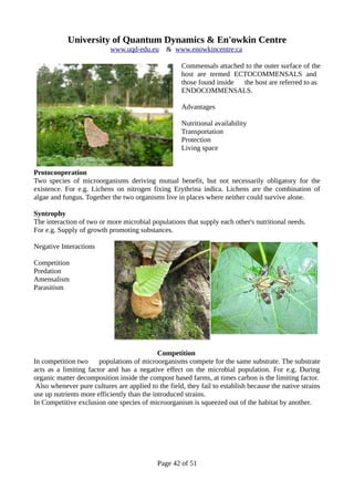 University of Quantum Dynamics & En'owkin Centre
www.uqd-edu.eu & www.enowkincentre.ca
Commensals attached to the outer surface of the
host are termed ECTOCOMMENSALS and
those found inside the host are referred to as
ENDOCOMMENSALS.
Advantages
Nutritional availability
Transportation
Protection
Living space
Protocooperation
Two species of microorganisms deriving mutual benefit, but not necessarily obligatory for the
existence. For e.g. Lichens on nitrogen fixing Erythrina indica. Lichens are the combination of
algae and fungus. Together the two organisms live in places where neither could survive alone.
Syntrophy
The interaction of two or more microbial populations that supply each other's nutritional needs.
For e.g. Supply of growth promoting substances.
Negative Interactions
Competition
Predation
Amensalism
Parasitism
Competition
In competition two populations of microorganisms compete for the same substrate. The substrate
acts as a limiting factor and has a negative effect on the microbial population. For e.g. During
organic matter decomposition inside the compost based farms, at times carbon is the limiting factor.
Also whenever pure cultures are applied to the field, they fail to establish because the native strains
use up nutrients more efficiently than the introduced strains.
In Competitive exclusion one species of microorganism is squeezed out of the habitat by another.
Page 42 of 51
 