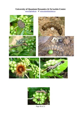 University of Quantum Dynamics & En'owkin Centre
www.uqd-edu.eu & www.enowkincentre.ca
Page 49 of 51
 