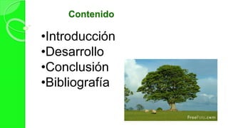 Contenido
•Introducción
•Desarrollo
•Conclusión
•Bibliografía
 
