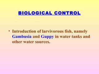 BIOLOGICAL CONTROL
• Introduction of larvivorous fish, namely
Gambusia and Guppy in water tanks and
other water sources.
 