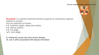 Comprehensive Overview of Brucellosis: Diagnosis, Complications, and ...