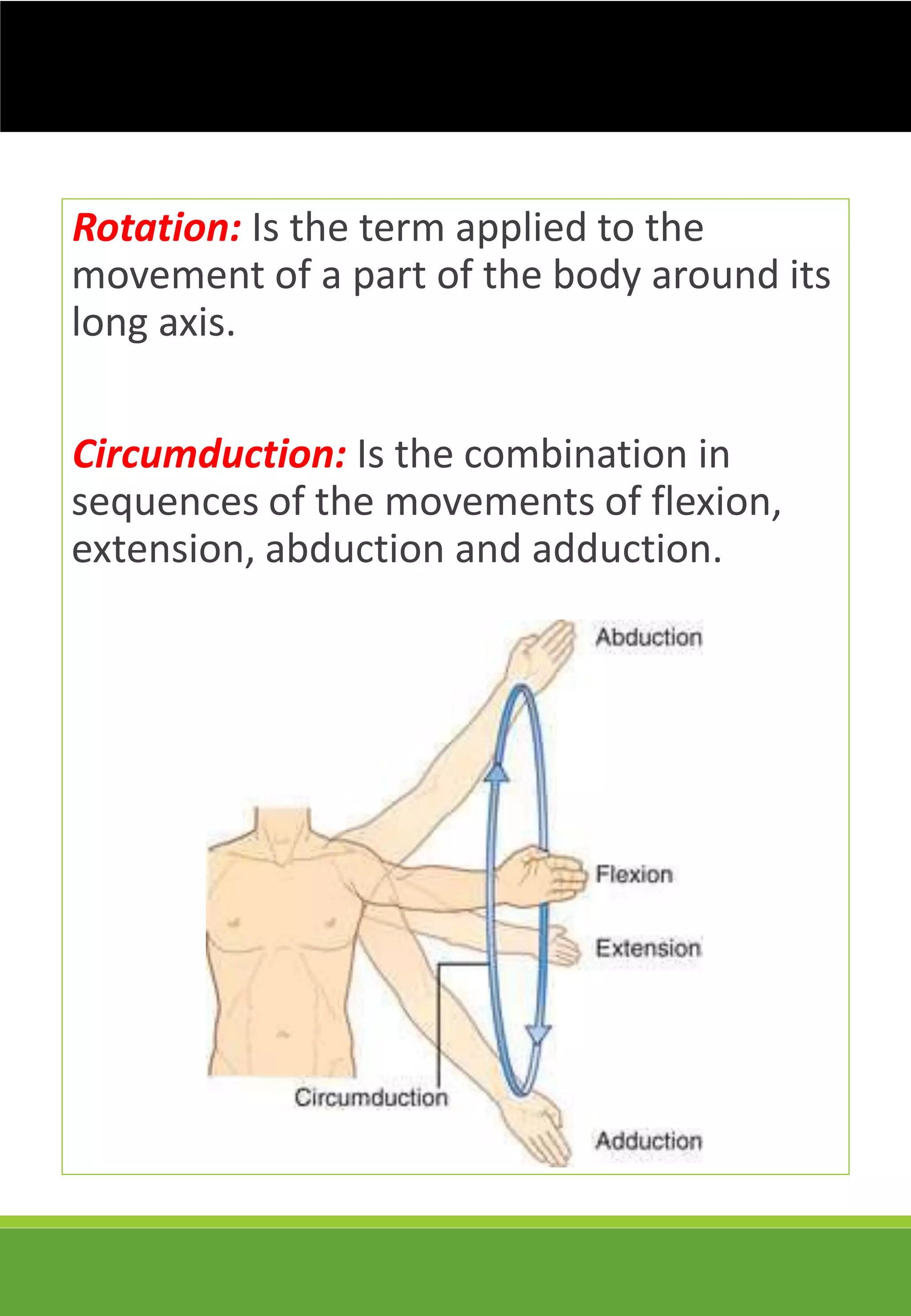 Introduction to Human Anatomy | PDF