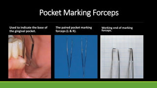 Pocket Marking Forceps
The paired pocket marking
forceps (L & R).
Working end of marking
forceps.
Used to indicate the base of
the gingival pocket.
 