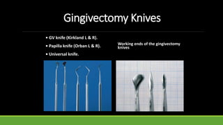 Gingivectomy Knives
• GV knife (Kirkland L & R).
• Papilla knife (Orban L & R).
• Universal knife.
Working ends of the gingivectomy
knives
 