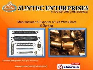 Manufacturer & Exporter of Cut Wire Shots
                                & Springs




© Suntec Enterprises, All Rights Reserved


              www.suntecenterprises.com
 
