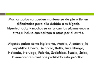 Muchos patos no pueden mantenerse de pie o tienen
dificultades para ello debido a su hígado
hipertrofiado, y muchos se arrancan las plumas unos a
otros e incluso canibalizan a otros por el estrés.
Algunos países como Inglaterra, Austria, Alemania, la
República Checa, Finlandia, Italia, Luxemburgo,
Holanda, Noruega, Polonia, Sudáfrica, Suecia, Suiza,
Dinamarca e Israel han prohibido esta práctica.
 