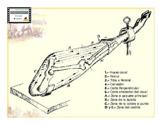 2526408 mi-corte-de-jamonbest