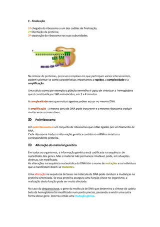 C - finalização

1º chegada do ribossoma a um dos codões de finalização;
2º libertação da proteína;
3º separação do ribossoma nas suas subunidades.




Na síntese de proteínas, processo complexo em que participam vários intervenientes,
podem salientar-se como características importantes a rapidez, a complexidade e a
amplificação.

Uma célula como por exemplo o glóbulo vermelho é capaz de sintetizar a hemoglobina
que é constituída por 140 aminoácidos, em 3 a 4 minutos.

A complexidade vem que muitos agentes podem actuar no mesmo DNA.

A amplificação - a mesma zona de DNA pode trascrever e o mesmo ribossoma traduzir
muitas vezes consecutivas.

Polirribossoma

Um polirribossoma é um conjunto de ribossomas que estão ligados por um filamento de
RNA.
Cada ribossoma traduz a informação genética contida no mRNA e sintetiza a
correspondente proteína.

Alteração do material genético

Em todos os organismos, a informação genética está codificada na sequência de
nucleótidos dos genes. Mas o material não permanece imutável, pode, em situações
diversas, ser modificado.
As alterações na sequência nucleotídica do DNA têm o nome de mutações e os indivíduos
que a manifestam dizem-se mutantes.

Uma alteração na sequência de bases na molécula de DNA pode conduzir a mudanças na
proteína sintetizada. Se essa proteína assegura uma função-chave no organismo, a
realização desta função pode ser muito afectada.

No caso da drepanocitose, o gene da molécula de DNA que determina a síntese da cadeia
beta da hemoglobina foi modificado num ponto preciso, passando a existir uma outra
forma desse gene. Ocorreu então uma mutação génica.
 