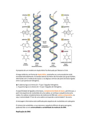A proposta de um modelo em dupla hélice foi efectuada por Watson e Crick.

A longa molécula, em forma de dupla hélice, assemelha-se a uma escada de corda
enrolada helicoidalmente. As bandas laterais da hélice são formadas por grupo fosfato,
alternando com a molécula de açúcar, e os degraus centrais são pares de bases ligadas
entre si por pontes de hidrogénio.

☻ A adenina liga-se à timina (A = T) por 2 ligações hidrogénio.
☺ A guanina liga-se à citosina (G ≡ C) por 3 ligações de hidrogénio.

A especificidade de ligações entre bases, complementaridade de bases, permite que, a
partir da sequência de nucleotidos de uma cadeia, se conheça a sequência da outra
cadeia. As cadeias complementares da molécula de DNA são cadeias antiparalelas, ou
seja, à extremidade 3' livre de uma cadeia corresponde a extremidade 5' da outra.

A mensagem informativa está codificada pela sequência de nucleótidos em cada gene.

O número de nucleótidos, a sua natureza e sequência diferem de gene para gene,
podendo falar-se em universalidade e variabilidade da molécula de DNA.

Replicação do DNA
 