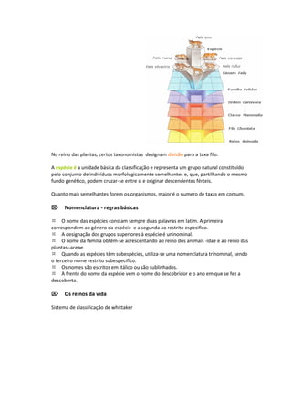 No reino das plantas, certos taxonomistas designam divisão para a taxa filo.

A espécie é a unidade básica da classificação e representa um grupo natural constituído
pelo conjunto de indivíduos morfologicamente semelhantes e, que, partilhando o mesmo
fundo genético, podem cruzar-se entre si e originar descendentes férteis.

Quanto mais semelhantes forem os organismos, maior é o numero de taxas em comum.

Nomenclatura - regras básicas

O nome das espécies constam sempre duas palavras em latim. A primeira
correspondem ao género da espécie e a segunda ao restrito especifico.
A designação dos grupos superiores à espécie é uninominal.
O nome da família obtêm-se acrescentando ao reino dos animais -idae e ao reino das
plantas -aceae.
Quando as espécies têm subespécies, utiliza-se uma nomenclatura trinominal, sendo
o terceiro nome restrito subespecifico.
Os nomes são escritos em itálico ou são sublinhados.
À frente do nome da espécie vem o nome do descobridor e o ano em que se fez a
descoberta.

Os reinos da vida

Sistema de classificação de whittaker
 