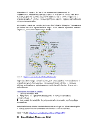 A descoberta da estrutura do DNA foi um momento decisivo no estudo da
hereditariedade. Rapidamente, começou a tornar-se claro como as células, antes de se
dividirem, duplicam o seu DNA, assegurando a conservação do património genético ao
longo das gerações. A estrutura molecular do DNA e o repectivo modo de replicação estão
intimamente relacionados.

 Actualmente sabe-se que a duplicação do DNA é um processo com alguma complexidade
que envolve a acção de algumas enzimas. A figura abaixo pretende representar, de forma
simplificada, o mecanismo de replicação do DNA.




Colado de <http://www.esec-odivelas.rcts.pt/BioGeo/ficha_trab2.htm>


No processo de replicação semiconservativa, cada uma das cadeias formadas é réplica de
uma cadeia originais. Assim, as novas moléculas de DNA são idênticas às moléculas
originais, sendo cada uma portadora de uma cadeia da molécula mãe e de uma outra
recém- formada.

O mecanismo de replicação envolve:
Desenrolamento do DNA
Rompimento por acção enzimática de pontes de hidrogénio entre bases
complementares.
Incorporação de nucleótidos do meio, por complementaridade, com formação de
novas cadeias.

No meio envolvente existem nucleótidos livres que se vão ligar por pontes de hidrogénio
às bases que se separaram, formando assim uma nova cadeia nucleótidica.

Video youtube: http://www.youtube.com/watch?v=teV62zrm2P0

Experiência de Meselson e Sthal
 