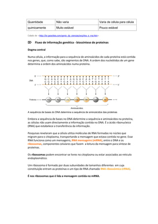 Quantidade                  Não varia                                     Varia de célula para célula
quimicamente                Muito estável                                 Pouco estável

Colado de <http://br.geocities.com/genio_da_ciencias/arq/dna_e_rna.htm>


Fluxo de informação genética - biossintese de proteínas

Dogma central

Numa célula, a informação para a sequência de aminoácidos de cada proteína está contida
nos genes, que, como sabe, são segmentos de DNA. A ordem dos nucleótidos de um gene
determina a ordem dos aminoácidos numa proteína.




A sequência de bases do DNA determina a sequência de aminoácidos das proteínas

Embora a sequência de bases no DNA determine a sequência e aminoácidos na proteína,
as células não usam directamente a informação contida no DNA. É o ácido ribonucleico
(RNA) que estabelece a transferência da informação.

Pesquisas revelaram que a célula utiliza moléculas de RNA formadas no núcleo que
migram para o citoplasma, transportando a mensagem que estava contida no gene. Esse
RNA funciona como um mensageiro, RNA mensageiro (mRNA), entre o DNA e os
ribossomas, componentes celulares que fazem a leitura da mensagem para síntese de
proteínas.

Os ribossomas podem encontrar-se livres no citoplasma ou estar associados ao reticulo
endoplasmático.

Um ribossoma é formado por duas subunidades de tamanhos diferentes em cuja
constituição entram as proteínas e um tipo de RNA chamado RNA ribossómico (rRNA).

É nos ribossomas que é lida a mensagem contida no mRNA.
 