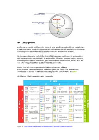Código genético

A informação contida no DNA, sob a forma de uma sequência nucleotídica, é copiada para
o RNA mensageiro, sendo postiormente descodificada e traduzida ao nível dos ribossomas
numa sequência de aminoácidos que constituem uma determinada proteína.

Na linguagem de quatro nucleótidos (C,U,G,A) é impossível codificar os 20 aminoácidos,
pois só havia quatro possibilidades de aminoácidos diferentes mas se o código constituir
numa sequencia de três nucleótidos, passam a existir 64 possibilidades, o que é mais do
que suficiente para codificar os 23 aminoácidos conhecidos.

Assim, 3 nucleótidos consecutivos do DNA constituem um tripleto.
Cada grupo de três nucleotidos do RNA mensageiro que codifica um determinado
aminoácido ou o inicio ou o fim da síntese de proteínas tem um nome de codão.

O código da vida começa assim a ser conhecido:




Colado de <http://formacao.es-loule.edu.pt/biogeo/biogeo11/bio/unid05/imagens/codigo.gif>
 