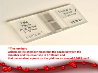 blood practical CBC | PPTX