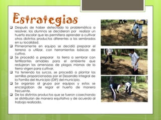 Estrategias
 Después de haber detectado la problemática a
  resolver, los alumnos se decidieron por realizar un
  huerto escolar que les permitiera aprender a cultivar
  otros distintos productos diferentes a los sembrados
  en su localidad.
 Primeramente en equipo se decidió preparar el
  terreno a utilizar, con herramientas básicas de
  cultivo.
 Se procedió a preparar la tierra a sembrar con
  fertilizantes amables para el ambiente que
  redujeran las amenazas de plagas mismas de la
  tierra virgen para cultivar.
 Ya teniendo los surcos, se procedió a plantar las
  semillas proporcionadas por el Desarrollo Integral de
  la Familia del Municipio (DIF) del municipio.
 Se organizo al grupo por equipos y estos se
  encargaban de regar el huerto de manera
  frecuente.
 De los distintos productos que se fueron cosechando
  se distribuían de manera equitativo y de acuerdo al
  trabajo realizado.
 