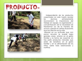 PRODUCTO-
                Independiente de los productos
            cosechados en este huerto escolar
            los        alumnos     primeramente
            reconocieron la importancia del
            trabajo en equipo, la organización y
            concientización de la necesidad de
            transformar sus de la manera de
            actuar y pensar en ciertas situaciones
            que nos afectan en la vida.
             afianzar en sus actitudes que con
            pocos recursos se puede logra
            grandes cosas, ahorros en el gasto
            familiar y la forma de cosechar en
            tras patio productos naturales que
            serán de beneficio en el gasto
            familiar y en la alimentación de los
            niños, sobre todo balanceada y
            nutritiva.
 