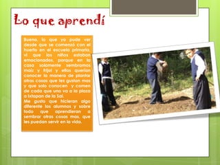 Lo que aprendí
 Bueno, lo que yo pude ver
 desde que se comenzó con el
 huerto en el escuela primaria,
 vi que los niños estaban
 emocionados, porque en la
 casa solamente sembramos
 maíz y frijol y ellos querían
 conocer la manera de plantar
 otras cosas que les gustan mas
 y que solo conocen y comen
 de cada que uno va a la plaza
 a Ixtapan de la Sal.
 Me gusto que hicieran algo
 diferente los alumnos y sobre
 todo    que    aprendieran    a
 sembrar otras cosas mas, que
 les puedan servir en la vida.
 