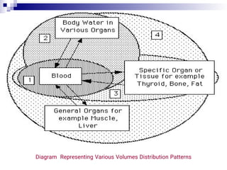 Biopharmaceutics drug distribution in the body | PDF