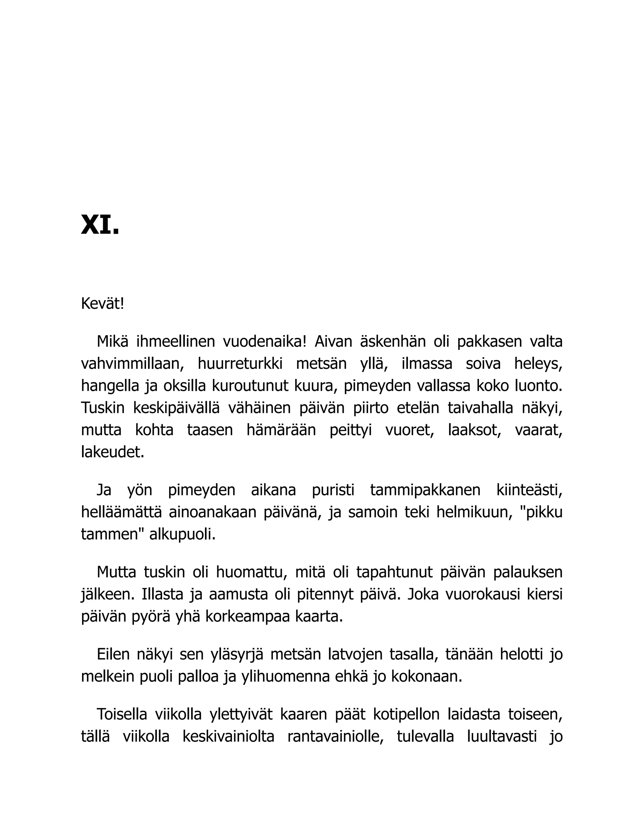 XI.
Kevät!
Mikä ihmeellinen vuodenaika! Aivan äskenhän oli pakkasen valta
vahvimmillaan, huurreturkki metsän yllä, ilmassa soiva heleys,
hangella ja oksilla kuroutunut kuura, pimeyden vallassa koko luonto.
Tuskin keskipäivällä vähäinen päivän piirto etelän taivahalla näkyi,
mutta kohta taasen hämärään peittyi vuoret, laaksot, vaarat,
lakeudet.
Ja yön pimeyden aikana puristi tammipakkanen kiinteästi,
helläämättä ainoanakaan päivänä, ja samoin teki helmikuun, pikku
tammen alkupuoli.
Mutta tuskin oli huomattu, mitä oli tapahtunut päivän palauksen
jälkeen. Illasta ja aamusta oli pitennyt päivä. Joka vuorokausi kiersi
päivän pyörä yhä korkeampaa kaarta.
Eilen näkyi sen yläsyrjä metsän latvojen tasalla, tänään helotti jo
melkein puoli palloa ja ylihuomenna ehkä jo kokonaan.
Toisella viikolla ylettyivät kaaren päät kotipellon laidasta toiseen,
tällä viikolla keskivainiolta rantavainiolle, tulevalla luultavasti jo
 