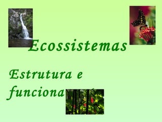 Ecossistemas
Estrutura e
funcionamento
 