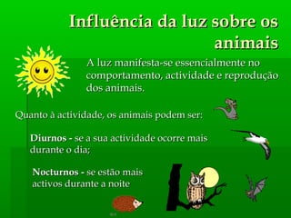 Influência da luz sobre osInfluência da luz sobre os
animaisanimais
A luz manifesta-se essencialmente noA luz manifesta-se essencialmente no
comportamento, actividade e reproduçãocomportamento, actividade e reprodução
dos animais.dos animais.
Nocturnos -Nocturnos - se estão maisse estão mais
activos durante a noiteactivos durante a noite
Quanto à actividade, os animais podem ser:Quanto à actividade, os animais podem ser:
Diurnos -Diurnos - se a sua actividade ocorre maisse a sua actividade ocorre mais
durante o dia;durante o dia;
 