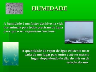 HUMIDADEHUMIDADE
A quantidade de vapor de água existente no arA quantidade de vapor de água existente no ar
varia de um lugar para outro e até no mesmovaria de um lugar para outro e até no mesmo
lugar, dependendo do dia, do mês ou dalugar, dependendo do dia, do mês ou da
estação do ano.estação do ano.
A humidade é um factor decisivo na vidaA humidade é um factor decisivo na vida
dos animais pois todos precisam de águados animais pois todos precisam de água
para que o seu organismo funcione.para que o seu organismo funcione.
 