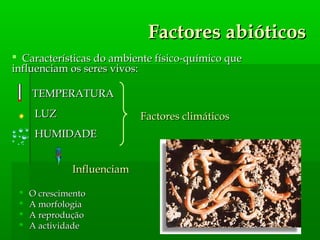 Factores abióticosFactores abióticos
 O crescimentoO crescimento
 A morfologiaA morfologia
 A reproduçãoA reprodução
 A actividadeA actividade
Factores climáticosFactores climáticos
InfluenciamInfluenciam
 Características do ambiente físico-químico queCaracterísticas do ambiente físico-químico que
influenciam os seres vivos:influenciam os seres vivos:
TEMPERATURATEMPERATURA
LUZLUZ
HUMIDADEHUMIDADE
 