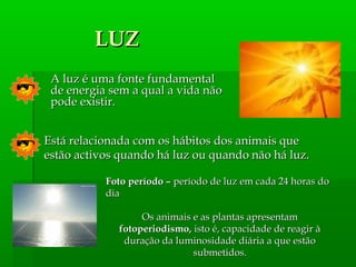 A luz é uma fonte fundamentalA luz é uma fonte fundamental
de energia sem a qual a vida nãode energia sem a qual a vida não
pode existir.pode existir.
LUZLUZ
Foto período –Foto período – período de luz em cada 24 horas doperíodo de luz em cada 24 horas do
diadia
Os animais e as plantas apresentamOs animais e as plantas apresentam
fotoperiodismo,fotoperiodismo, isto é, capacidade de reagir àisto é, capacidade de reagir à
duração da luminosidade diária a que estãoduração da luminosidade diária a que estão
submetidos.submetidos.
Está relacionada com os hábitos dos animais queEstá relacionada com os hábitos dos animais que
estão activos quando há luz ou quandoestão activos quando há luz ou quando não há luz.não há luz.
 