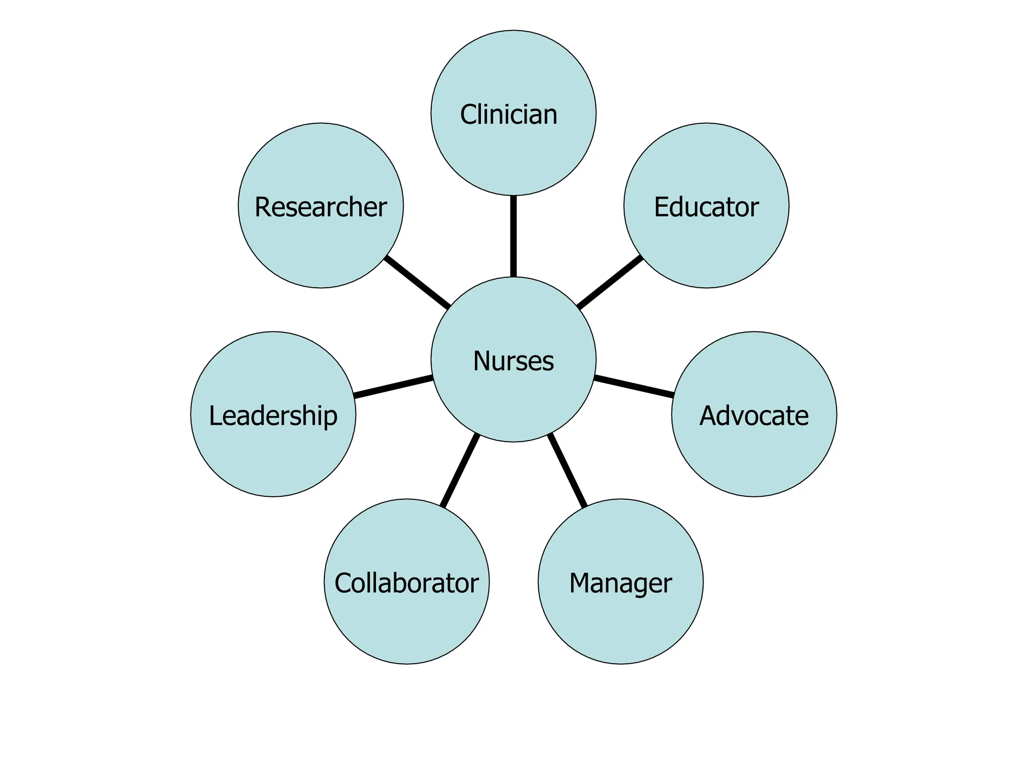 Researcher
Leadership
Collaborator Manager
Advocate
Educator
Clinician
Nurses
 