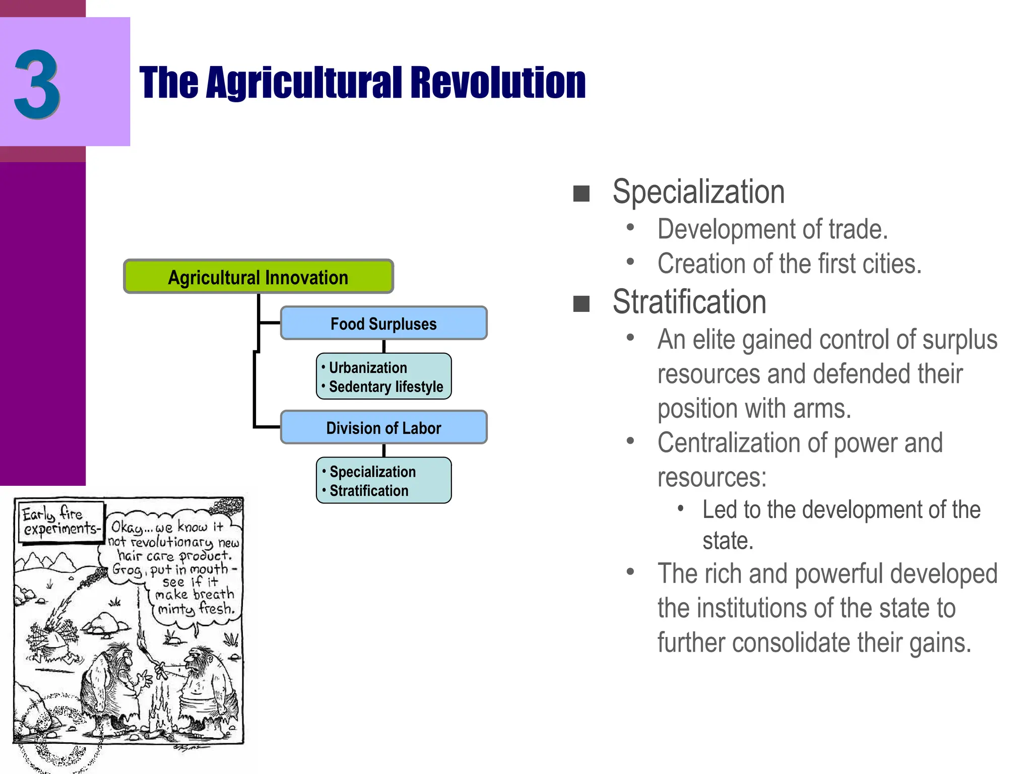 The Agricultural Revolution
Agricultural Innovation
Food Surpluses
Division of Labor
• Urbanization
• Sedentary lifestyle
• Specialization
• Stratification
■ Specialization
• Development of trade.
• Creation of the first cities.
■ Stratification
• An elite gained control of surplus
resources and defended their
position with arms.
• Centralization of power and
resources:
• Led to the development of the
state.
• The rich and powerful developed
the institutions of the state to
further consolidate their gains.
3
 