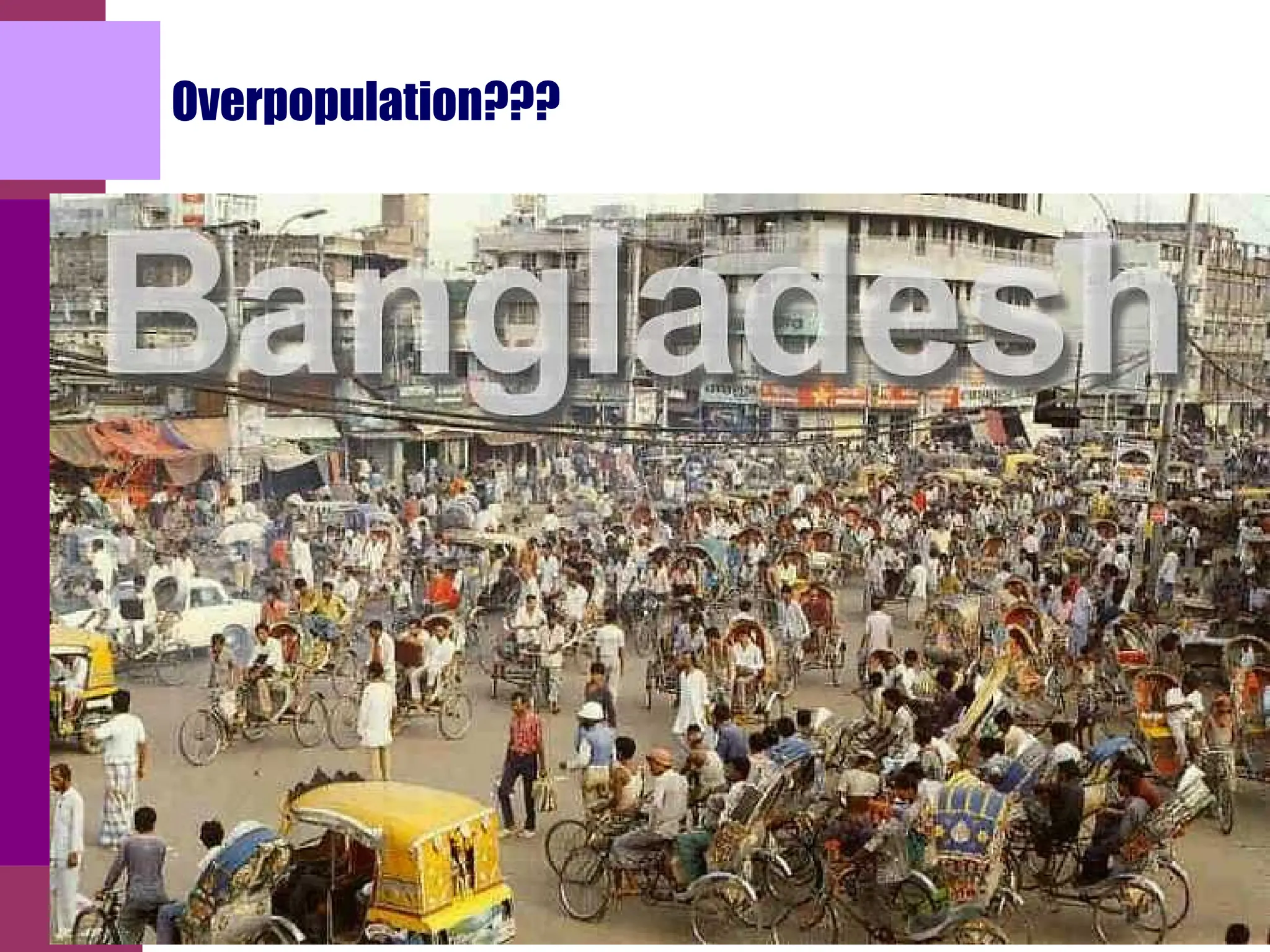 Overpopulation???
 