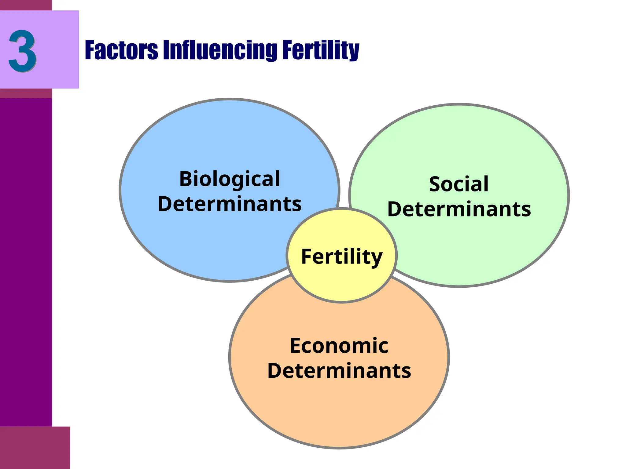 Biological
Determinants
Social
Determinants
Economic
Determinants
Factors Influencing Fertility
3
Fertility
 