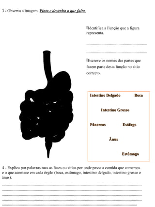 3 - Observa a imagem. Pinta e desenha o que falta.
Identifica a Função que a figura
representa.
.............................................................
.............................................................
Escreve os nomes das partes que
fazem parte desta função no sítio
correcto.
Intestino Delgado BocaIntestino Delgado Boca
Intestino GrossoIntestino Grosso
Pâncreas EsófagoPâncreas Esófago
ÂnusÂnus
EstômagoEstômago
4 - Explica por palavras tuas as fases ou sítios por onde passa a comida que comemos
e o que acontece em cada órgão (boca, estômago, intestino delgado, intestino grosso e
ânus).
............................................................................................................................................
............................................................................................................................................
............................................................................................................................................
............................................................................................................................................
.......................................................................................................................................
 