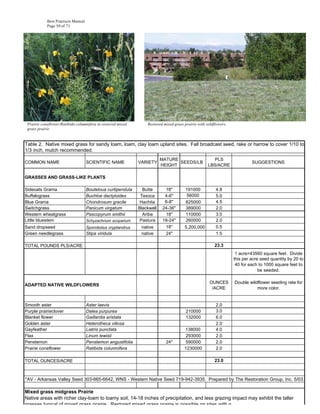Best Practices Manual
            Page 50 of 71




 Prairie coneflower/Ratibida columnifera in restored mixed       Restored mixed grass prairie with wildflowers.
 grass prairie


Table 2. Native mixed grass for sandy loam, loam, clay loam upland sites. Fall broadcast seed, rake or harrow to cover 1/10 to
1/3 inch, mulch recommended.
                                                                         MATURE                       PLS
COMMON NAME                         SCIENTIFIC NAME          VARIETY            SEEDS/LB                                   SUGGESTIONS
                                                                         HEIGHT                     LBS/ACRE

GRASSES AND GRASS-LIKE PLANTS

Sideoats Grama                      Bouteloua curtipendula     Butte      18"          191000           4.8
Buffalograss                        Buchloe dactyloides       Texoca      4-6"         56000            5.0
Blue Grama                          Chondrosum gracile        Hachita     6-8"         825000           4.5
Switchgrass                         Panicum virgatum         Blackwell   24-36"        389000           2.0
Western wheatgrass                  Pascopyrum smithii         Ariba      18"          110000           3.0
Little bluestem                     Schyzachrium scoparium    Pastura    18-24"        260000           2.0
Sand dropseed                       Sporobolus cryptandrus    native      18"         5,200,000         0.5
Green needlegrass                   Stipa viridula            native      24"                           1.5

TOTAL POUNDS PLS/ACRE                                                                                   23.3
                                                                                                                   1 acre=43560 square feet. Divide
                                                                                                                  this per acre seed quantity by 20 to
                                                                                                                   40 for each to 1000 square feet to
                                                                                                                               be seeded.

                                                                                                     OUNCES       Double wildflower seeding rate for
ADAPTED NATIVE WILDFLOWERS
                                                                                                      /ACRE                  more color.


Smooth aster                        Aster laevis                                                        2.0
Purple prairieclover                Dalea purpurea                                     210000           3.0
Blanket flower                      Gaillardia aristata                                132000           6.0
Golden aster                        Heterotheca villosa                                                 2.0
Gayfeather                          Liatris punctata                                  138000            4.0
Flax                                Linum lewisii                                     293000            2.0
Penstemon                           Penstemon angustifolia                 24"        590000            2.0
Prairie coneflower                  Ratibida columnifera                              1230000           2.0

TOTAL OUNCES/ACRE                                                                                       23.0



*AV - Arkansas Valley Seed 303-665-6642, WNS - Western Native Seed 719-942-3935. Prepared by The Restoration Group, Inc. 5/03.

Mixed grass midgrass Prairie
Native areas with richer clay-loam to loamy soil, 14-18 inches of precipitation, and less grazing impact may exhibit the taller
grasses typical of mixed grass prairie. Restored mixed grass prairie is possible on sites with g
 