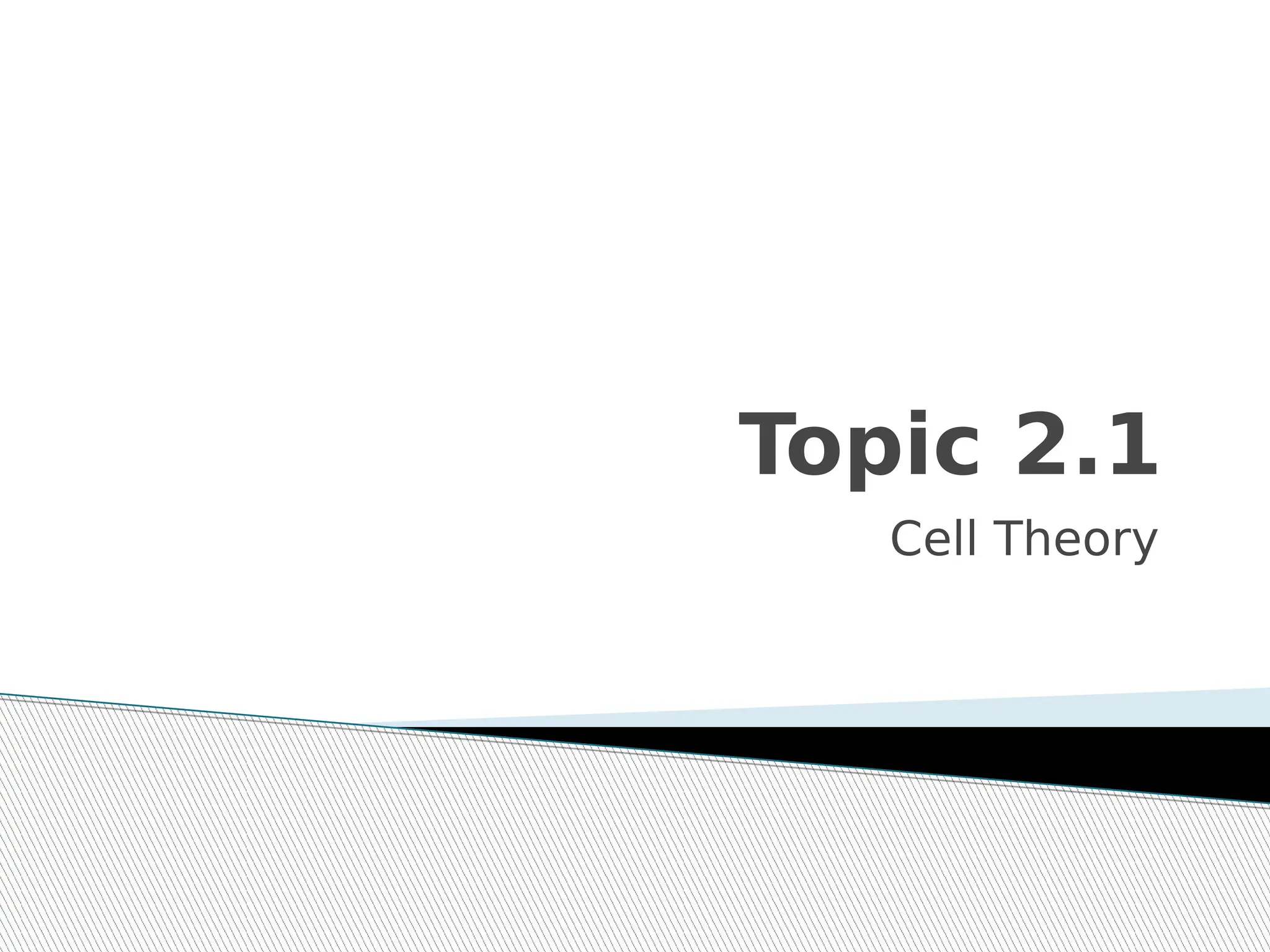 biology HL practice questions IB BIOLOGY PPT
